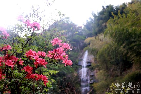 黃龍山頂，風景如畫 黃錚 攝_副本.jpg.jpg